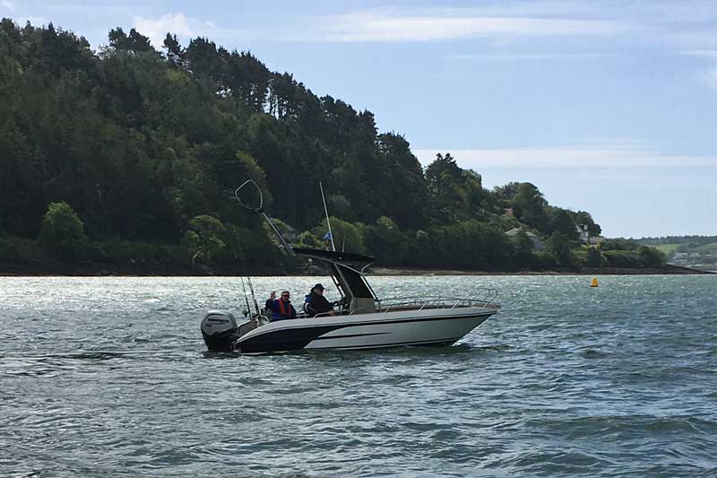 Bild 11